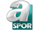 a Spor TV Logo